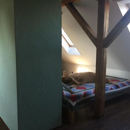 Ferienwohnung Schulze Freital Kültér fotó