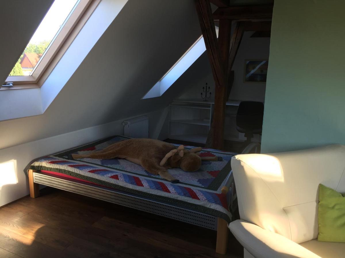 Ferienwohnung Schulze Freital Kültér fotó